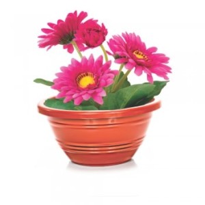 EP2600-VASO RED CUIA CERAMICO 06LTS-ERCA