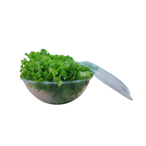 B03TTP-BACIA REF. 03 TRANSLUCIDA C/ TAMPA-CVL