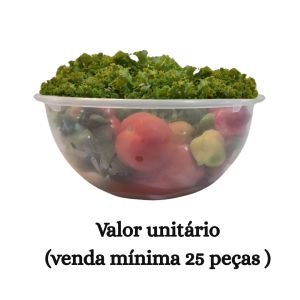 #ATACADO-VALOR UNITÁRIO P/25 PÇS-BACIA REF. 10 TRANSLÚCIDA-CVL