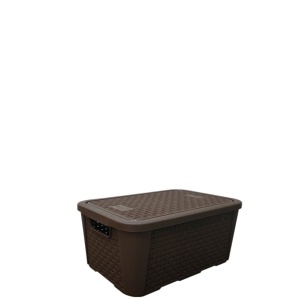 P2054-ORG RATTAN CAFE 2-PLASNEW